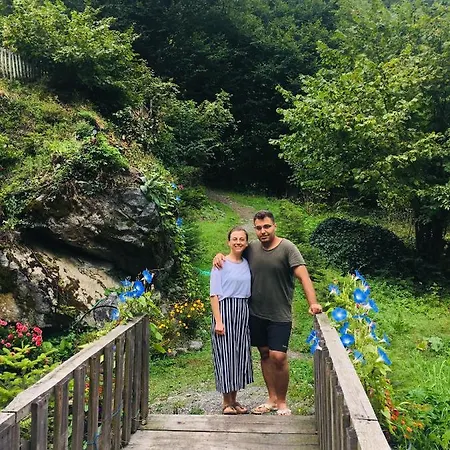Kartal Vadisi Dag Evleri Sapanca