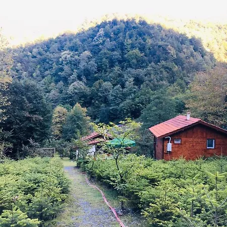 Kartal Vadisi Dag Evleri Hotel